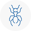 Ant Removals In Woodstock