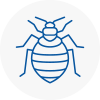 Bed Bug Extermination In Woodstock