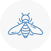 Bee Nest Removal Woodstock