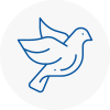 Bird Prevention Woodstock