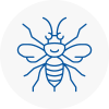 Woodstock Hornet Nest Removals