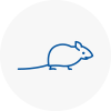 Mice Exterminators In Woodstock