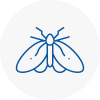 Moth Control Specialists In Woodstock