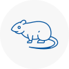 Rat Control Woodstock