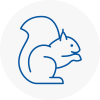 Woodstock Rodent Removals