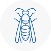 Woodstock Wasp Nest Removal